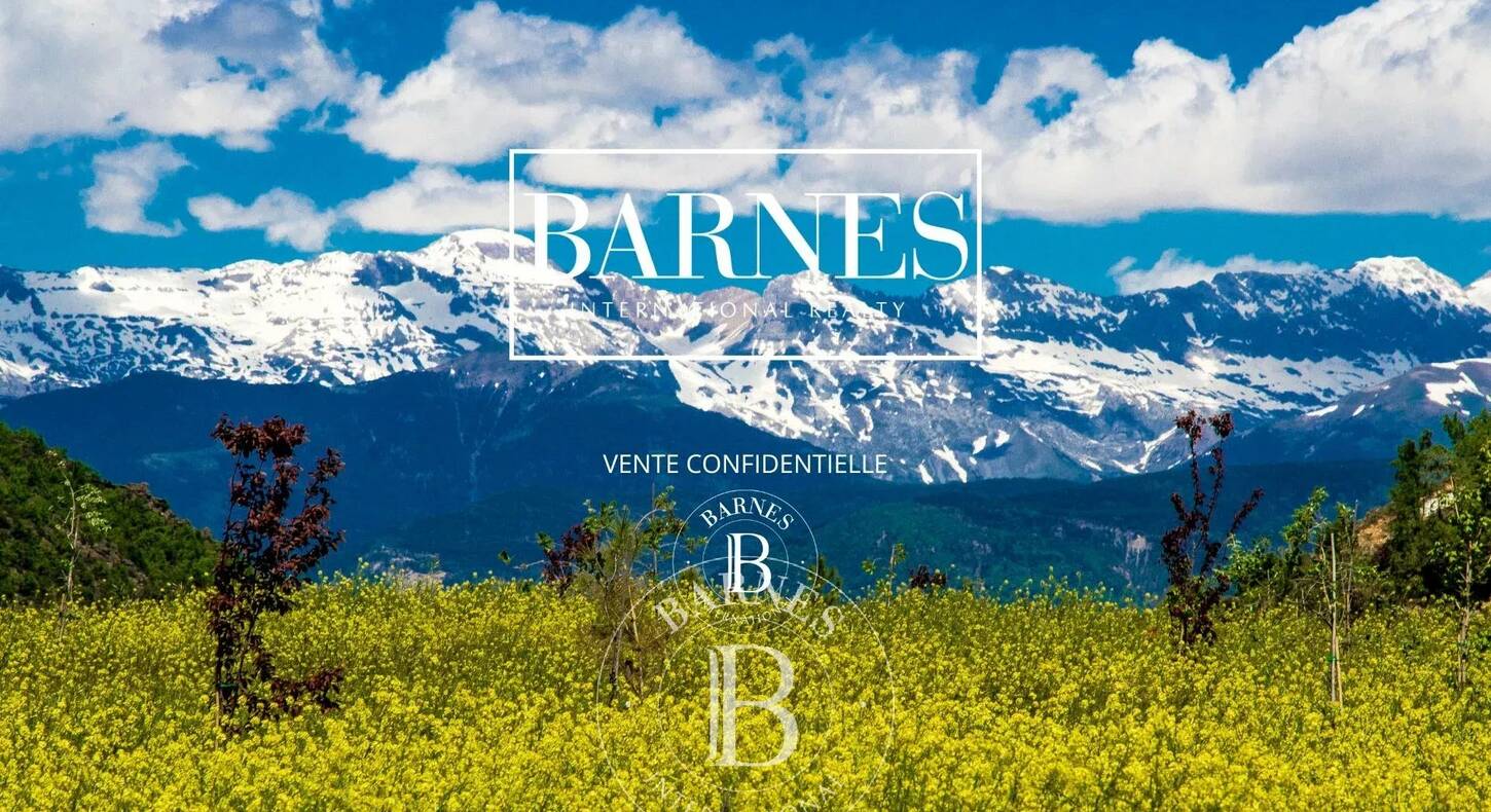 Show - BARNES Toulouse - Immobilier de luxe, appartements et maisons de prestige à Toulouse